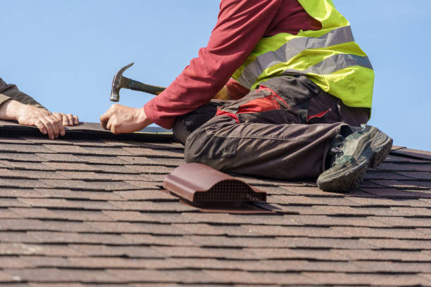 Best Local Roofing Companies  in Eslon, CA