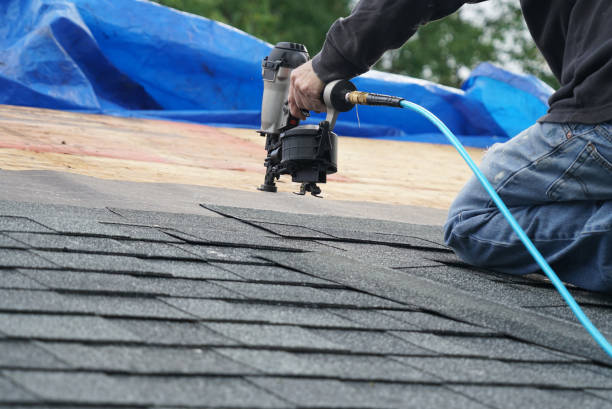 Best Roof Waterproofing Services  in Eslon, CA