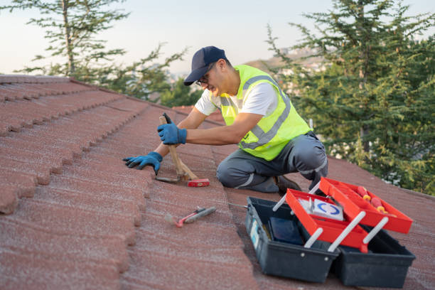 Best Roof Maintenance Services  in Eslon, CA