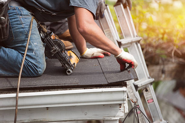 Best Shingle Roofing Installation  in Eslon, CA